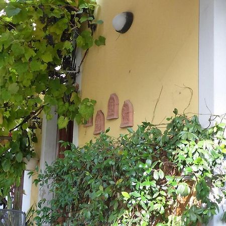 B&B Il Casale Di Nanni Lucca Kültér fotó