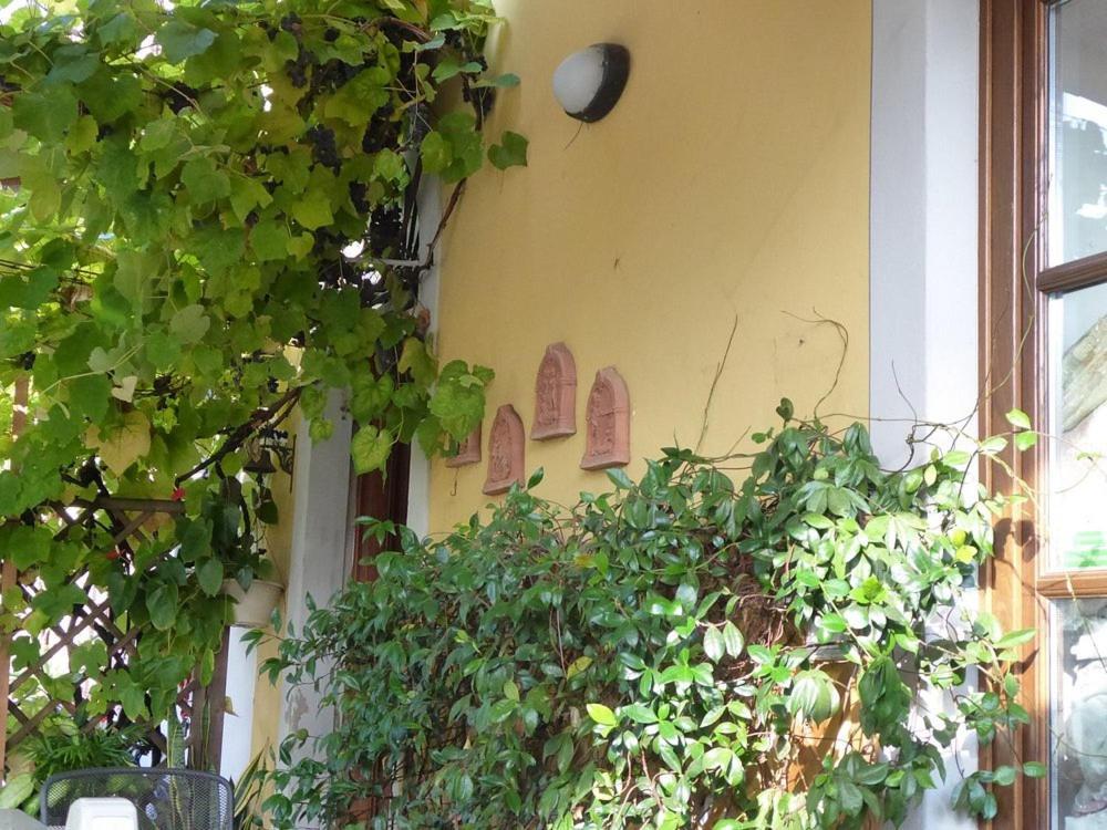 B&B Il Casale Di Nanni Lucca Kültér fotó